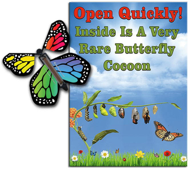 Rare Butterfly Cocoon Greeting Card With Surprise Wind Up Flying Butte ...