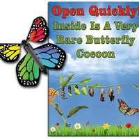 Rare Cocoon Butterfly greeting card with Rainbow wind up flying butterfly from butterflyers.com