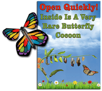 
              Rare Cocoon Butterfly greeting card with Stained Glass wind up flying butterfly from butterflyers.com
            