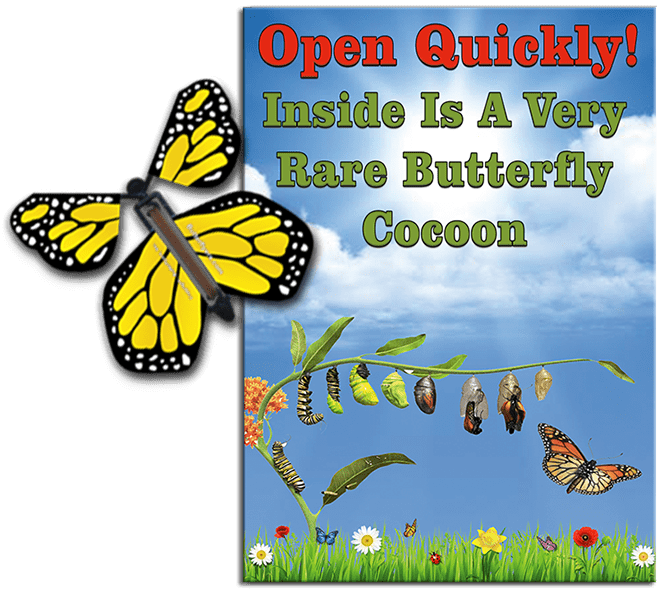 Rare Cocoon Butterfly greeting card with Yellow wind up flying butterfly from butterflyers.com