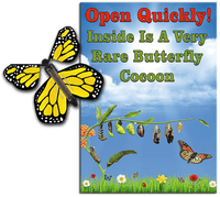 
              Rare Cocoon Butterfly greeting card with Yellow wind up flying butterfly from butterflyers.com
            
