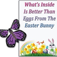 Easter Bunny Butterfly greeting card and Purple flying butterfly from butterflyers.com