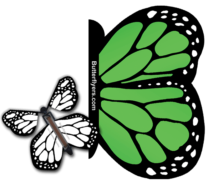 Green Monarch Exploding Butterfly Card with White Monarch wind up flying butterfly from butterflyers.com