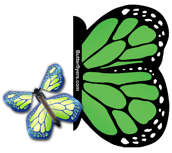 Green Monarch Exploding Butterfly Card with Cobalt Green Monarch wind up flying butterfly from butterflyers.com