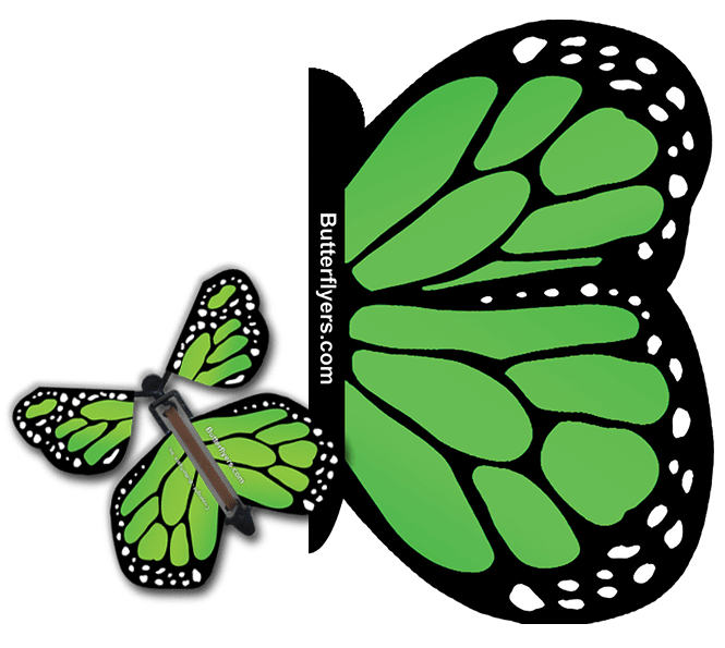 Green Monarch Exploding Butterfly Card with Green Monarch wind up flying butterfly from butterflyers.com