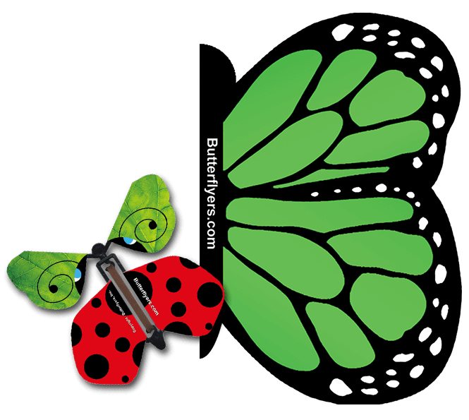 Green Monarch Exploding Butterfly Card with Lady Bug wind up flying butterfly from butterflyers.com