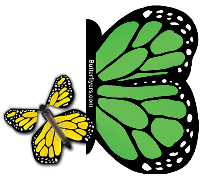 Green Monarch Exploding Butterfly Card with Yellow Monarch wind up flying butterfly from butterflyers.com
