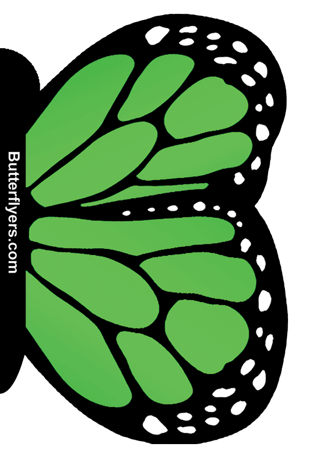 Green Monarch Exploding Flying Butterfly Booklet From Butterflyers.com