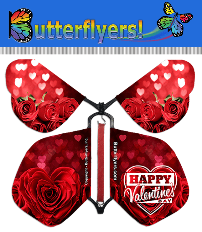 Valentines Day Wind Up Flying Butterfly Package For Greeting Cards by Butterflyers.com