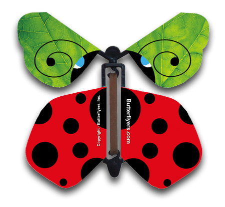 Ladybug Wind Up Flying Butterfly For Greeting Cards by Butterflyers.com
