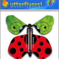 Ladybug Wind Up Flying Butterfly For Greeting Cards by Butterflyers.com