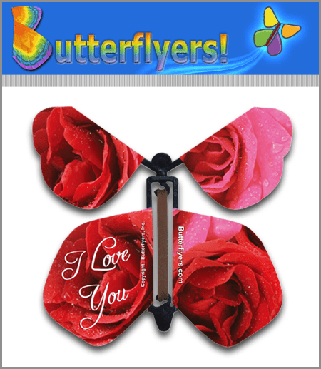 I Love You Wind Up Flying Butterfly For Greeting Cards by Butterflyers.com