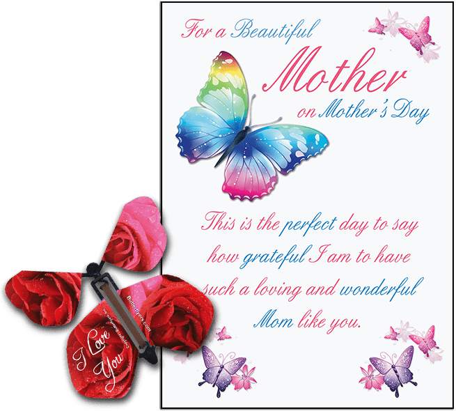 Mothers Day greeting card with I Love You wind up flying butterfly from butterflyers.com