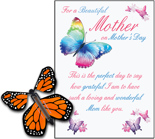 Mothers Day greeting card Orange with wind up flying butterfly from butterflyers.com