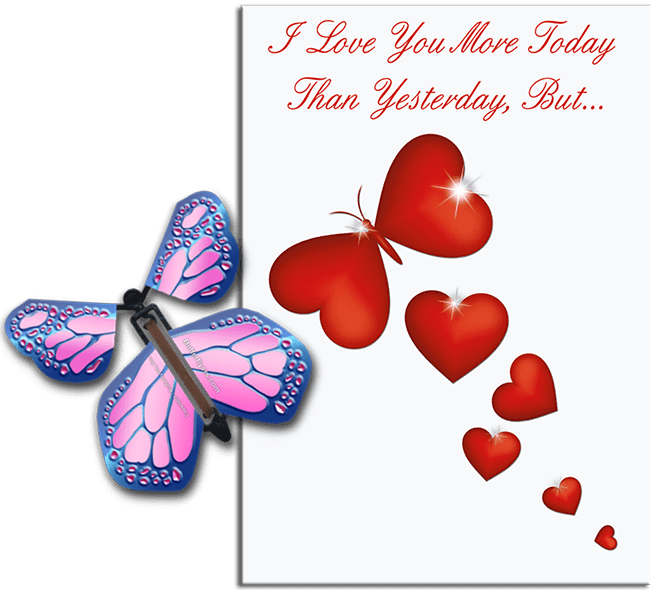 More Today Than Yesterday Greeting Card With Cobalt Pink Flying Butterfly from Butterflyers.comCard