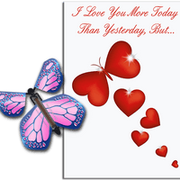More Today Than Yesterday Greeting Card With Cobalt Pink Flying Butterfly from Butterflyers.comCard