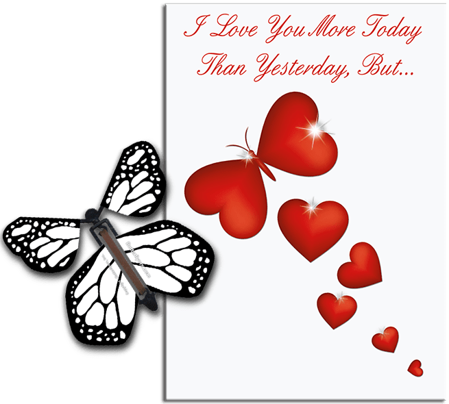 More Today Than Yesterday Greeting Card With White Flying Butterfly from Butterflyers.comCard
