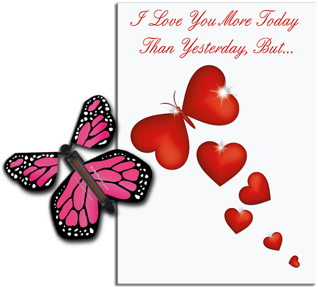 More Today Than Yesterday Greeting Card With Pink Flying Butterfly from Butterflyers.comCard