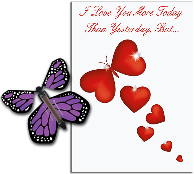 More Today Than Yesterday Greeting Card With Purple Flying Butterfly from Butterflyers.comCard