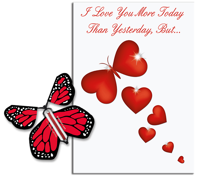 More Today Than Yesterday Greeting Card With Red Monarch Flying Butterfly from Butterflyers.com