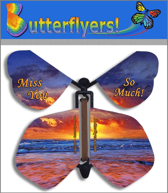 Miss You So Much Flying Butterfly from butterflyers.com