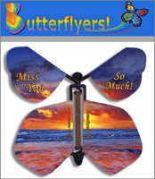 
              Miss You So Much Flying Butterfly from butterflyers.com
            