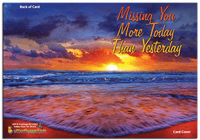 
              Miss You Much greeting card from butterflyers.com
            
