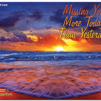 Miss You Much greeting card from butterflyers.com