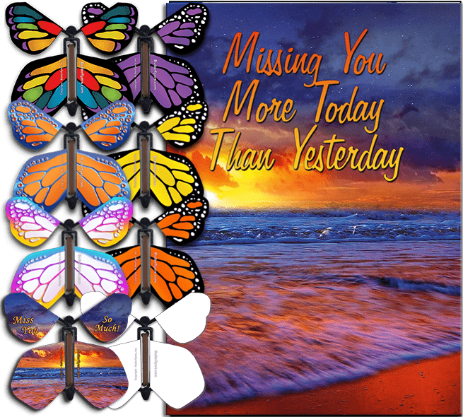 Miss You Much greeting card with flying butterfly from butterflyers.com