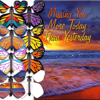 Miss You Much greeting card with flying butterfly from butterflyers.com