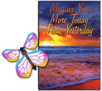 
              Miss You Much greeting card with Bismuth flying butterfly from butterflyers.com
            
