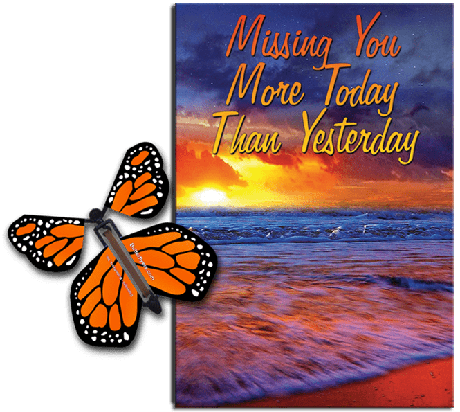 Miss You Much greeting card with Orange flying butterfly from butterflyers.com