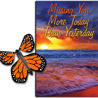 Miss You Much greeting card with Orange flying butterfly from butterflyers.com