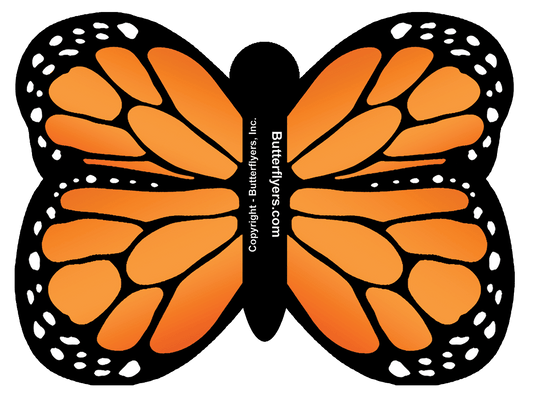 Orange Monarch Butterfly Greeting Card (CARD ONLY)