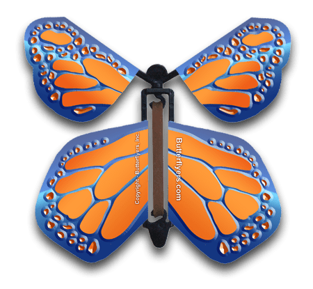 Cobalt Orange Wind Up Flying Butterfly For Greeting Cards by Butterflyers.com
