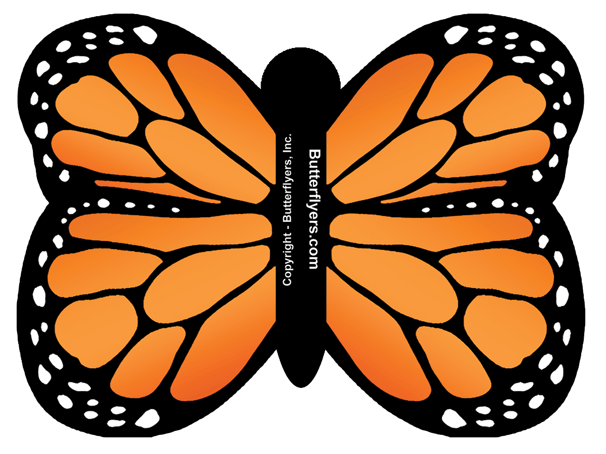 Full View of Orange Monarch Exploding Butterfly Card with Orange wind up flying butterfly from butterflyers.com
