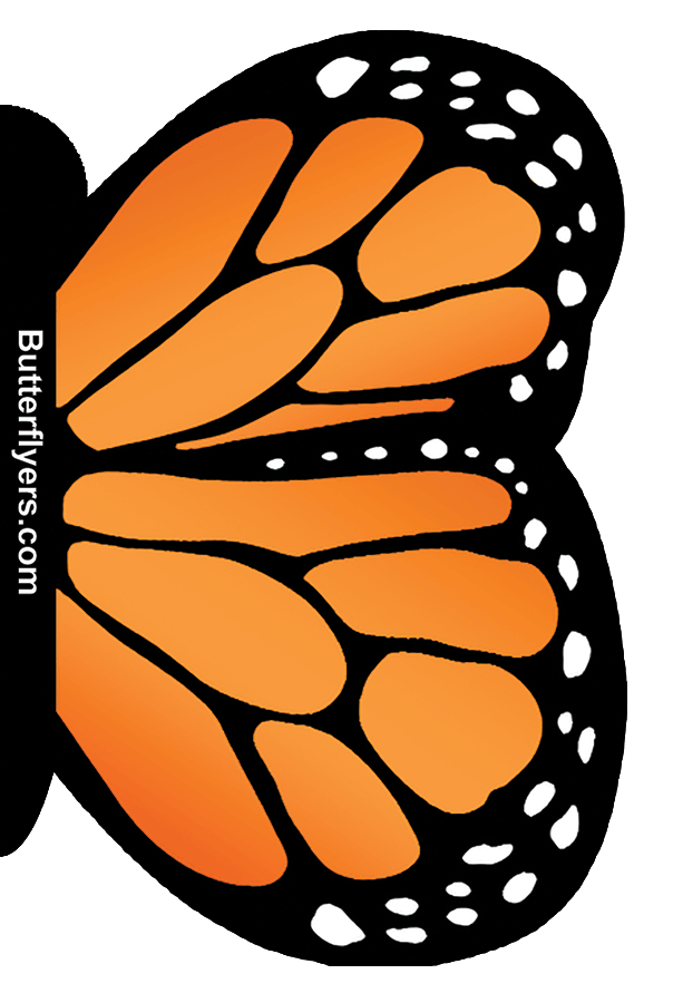Front Side of Orange Monarch Exploding Butterfly Card with Orange wind up flying butterfly from butterflyers.com