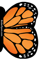
              Front Side of Orange Monarch Exploding Butterfly Card with Orange wind up flying butterfly from butterflyers.com
            