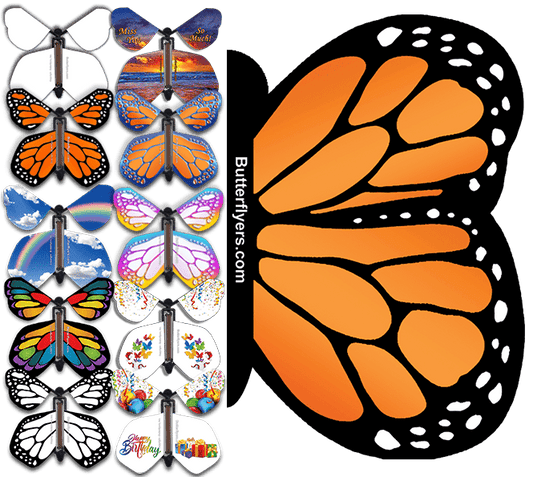 Orange Monarch Exploding Butterfly Card with wind up flying butterfly from butterflyers.com