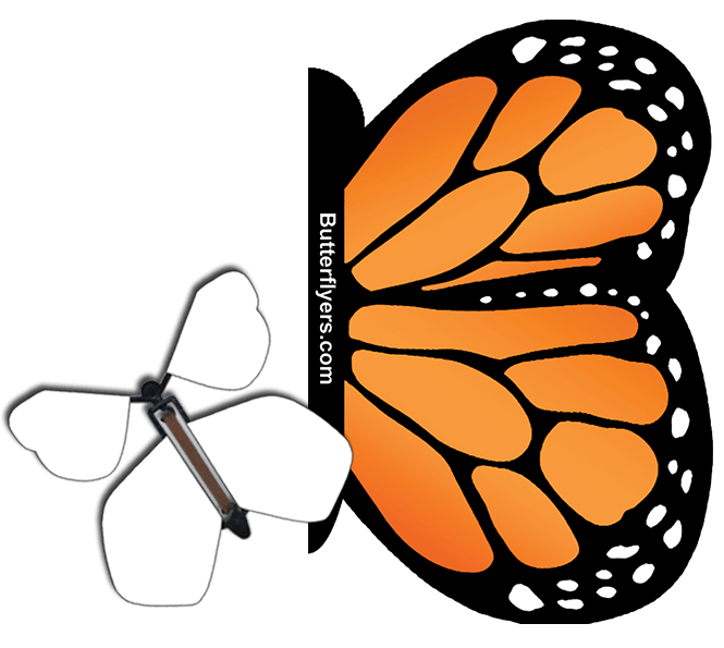 Orange Monarch Exploding Butterfly Card with Blank wind up flying butterfly from butterflyers.com