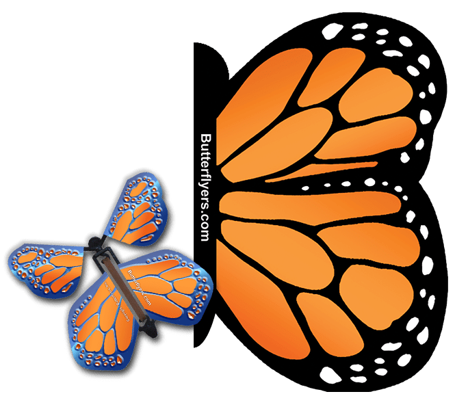 Orange Monarch Exploding Butterfly Card with Cobalt Orange Monarch wind up flying butterfly from butterflyers.com