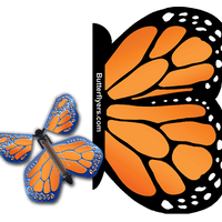 Orange Monarch Exploding Butterfly Card with Cobalt Orange Monarch wind up flying butterfly from butterflyers.com