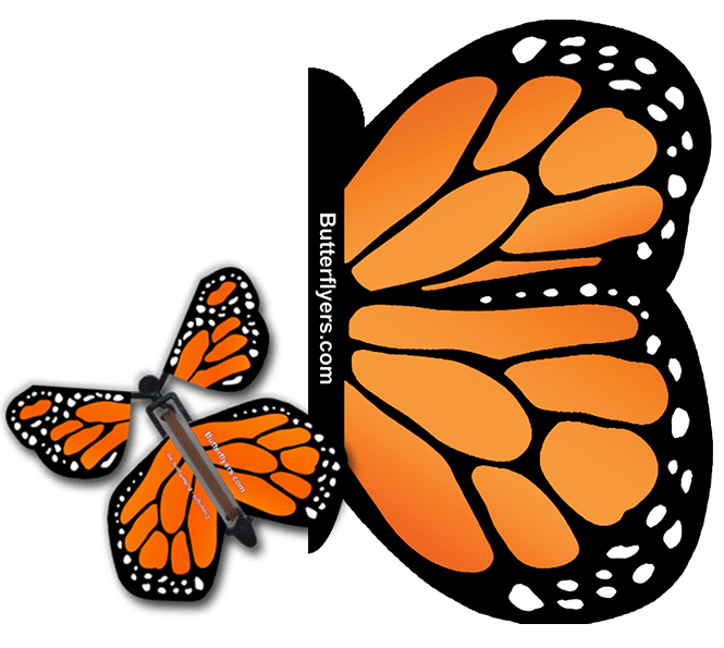 Orange Monarch Exploding Butterfly Card with Orange Monarch wind up flying butterfly from butterflyers.com