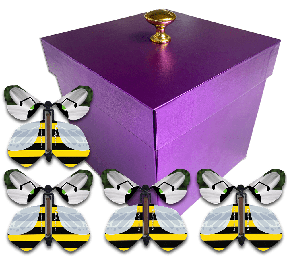 Purple Easter Exploding Butterfly Gift Box With 4 Bumble Bee Wind Up Flying Butterflies from butterflyers.com