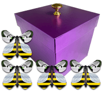
              Purple Easter Exploding Butterfly Gift Box With 4 Bumble Bee Wind Up Flying Butterflies from butterflyers.com
            