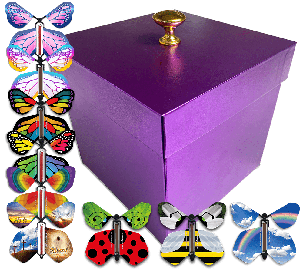 Fly Gift Box Surprise Flying Butterfly Gift Boxes – Butterflyers