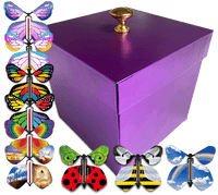 
              Purple Easter Exploding Butterfly Box With 4 Wind Up Flying Easter Butterflies from butterflyers.com
            
