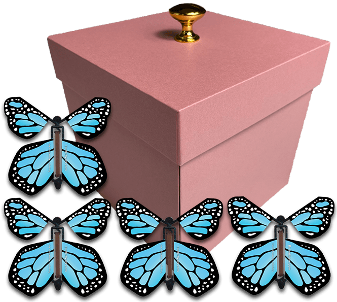 Pink Exploding Butterfly Gift Box With 4 Blue Monarch Wind Up Flying Butterflies from butterflyers.com