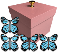 
              Pink Exploding Butterfly Gift Box With 4 Blue Monarch Wind Up Flying Butterflies from butterflyers.com
            
