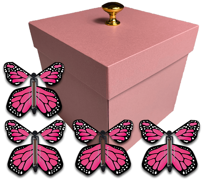 Pink Exploding Butterfly Gift Box With 4 Pink Monarch Wind Up Flying Butterflies from butterflyers.com